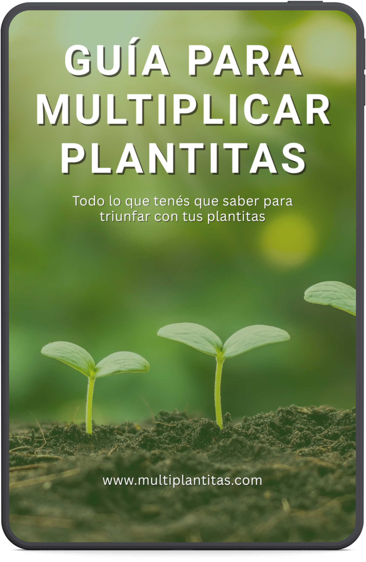 Guía para Multiplicar Plantitas