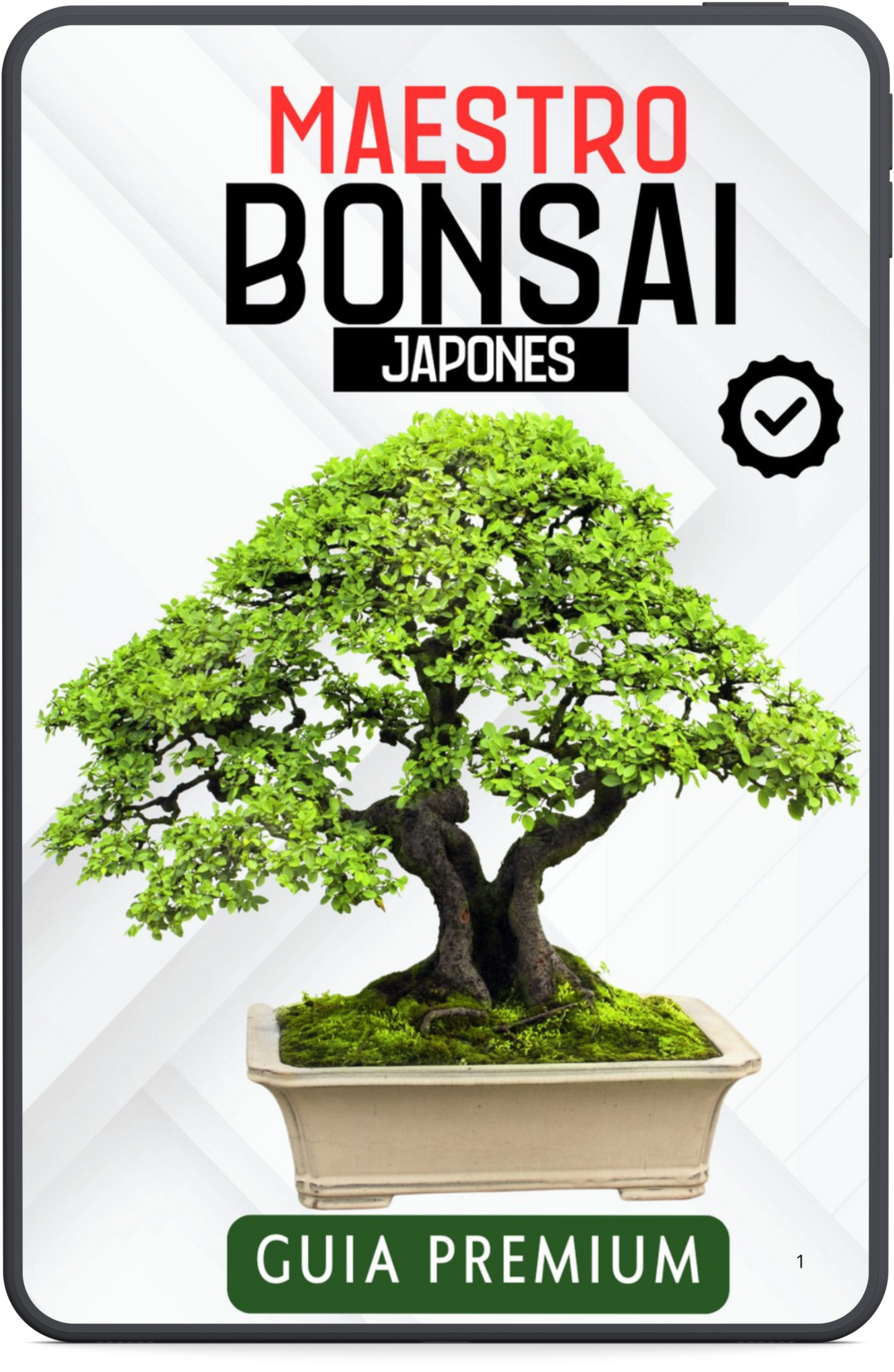 Guía Experto Bonsai