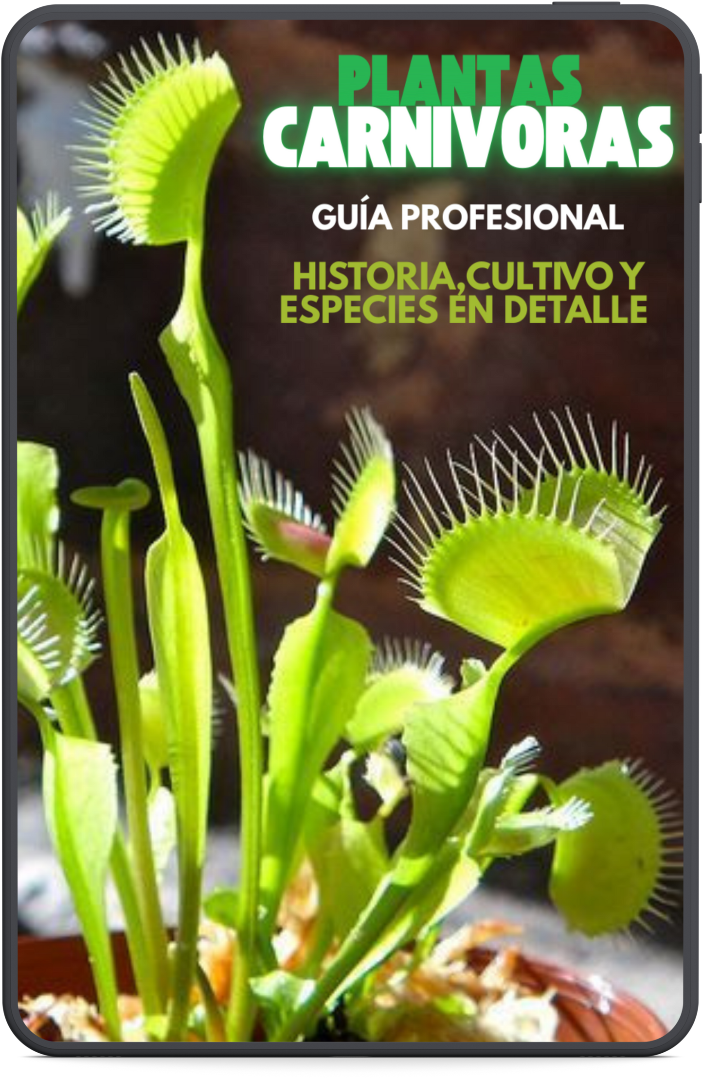 Guía Experto en Plantas Carnivoras