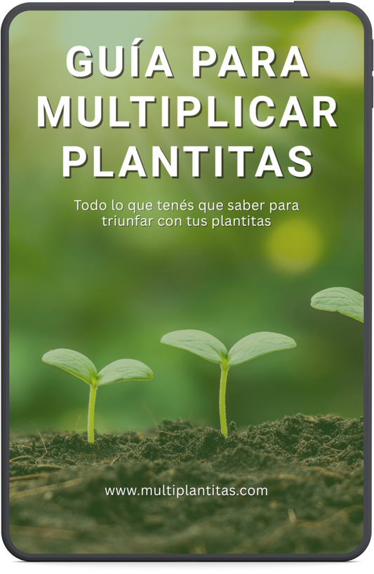 Guía para Multiplicar Plantitas