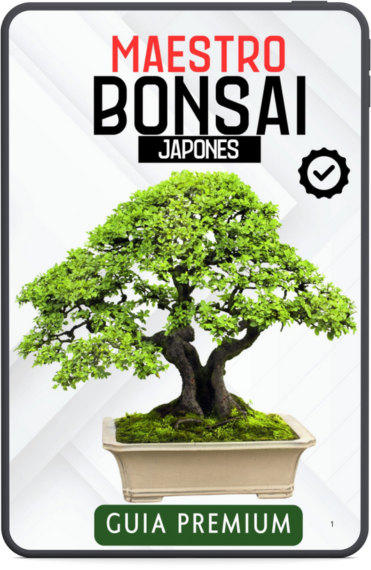 Guía Experto Bonsai
