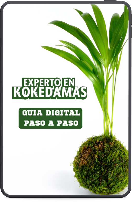 Guía Experto en KOKEDAMAS